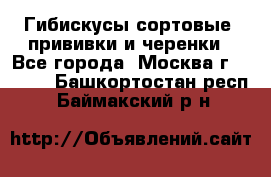 Гибискусы сортовые, прививки и черенки - Все города, Москва г.  »    . Башкортостан респ.,Баймакский р-н